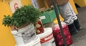 Galerie foto - poza 2