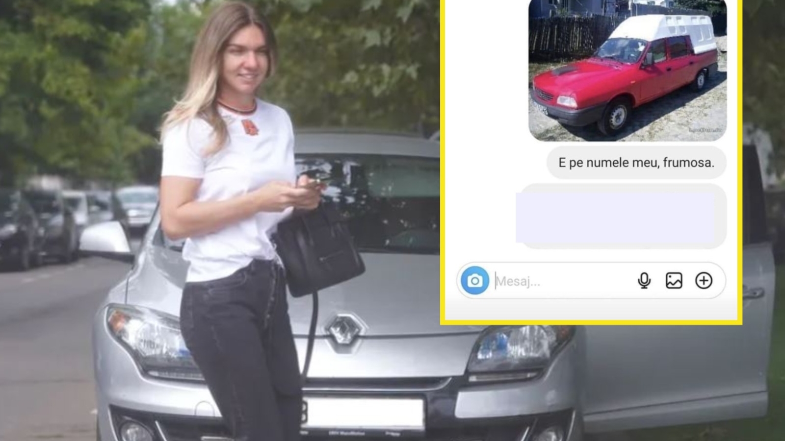 Râzi cu lacrimi! Ce mesaj i-a dat un român Simonei Halep, după ce a divorţat de Toni Iuruc: "E pe numele meu, frumosa"