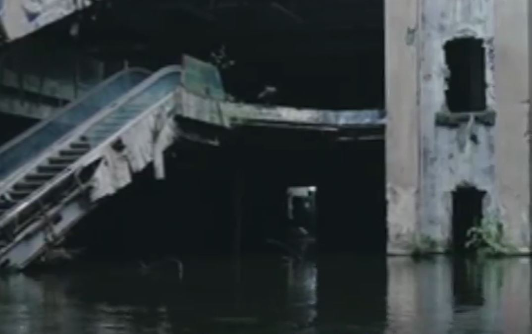 Cum ar arăta Terra dacă toți oamenii ar dispărea. Imagini virale în plină pandemie COVID-19