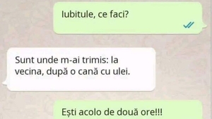 BANC | "Sunt unde m-ai trimis: la vecina, după o cană de ulei"