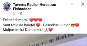 Galerie foto - poza 3