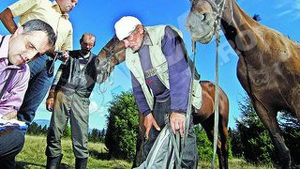 Judecata populara pe o pasune I-au batut (ca) pe hotii de cai