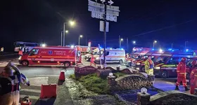 Galerie foto - poza 2