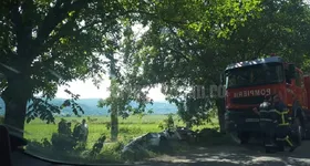 Galerie foto - poza 1