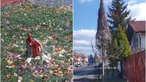 Bărbat din Sibiu, amendat cu o sumă colosală din cauza unui copac, din faţa casei! Gestul care i-a pus autorităţile pe cap