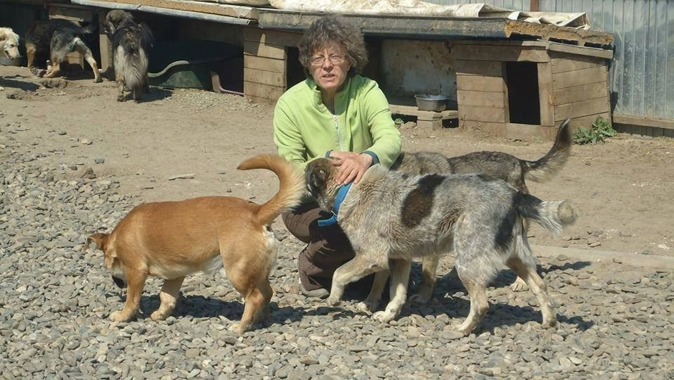 Maria salvează câini de mai bine de 10 ani