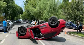 Galerie foto - poza 1