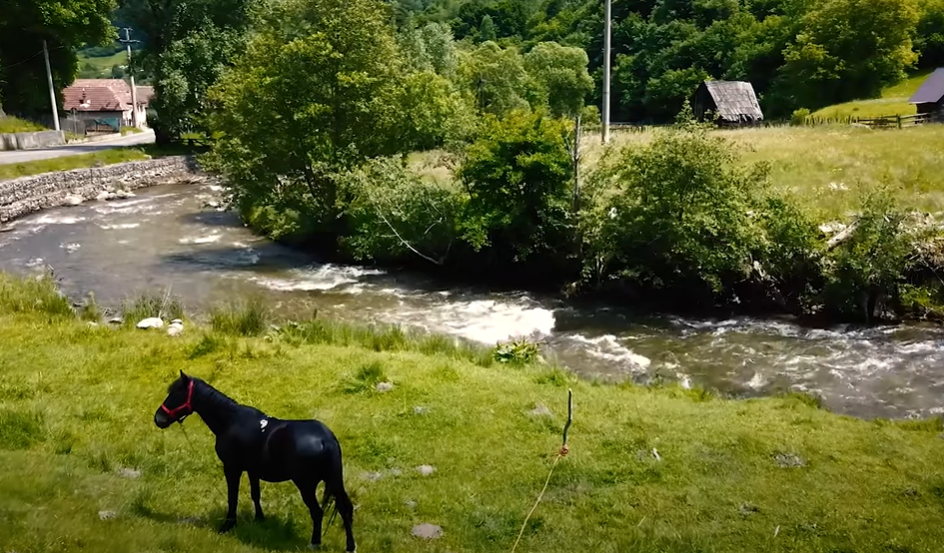 Râul Sadului/ Foto: Captură Video