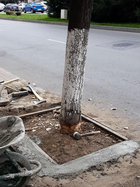 Uneltele cu care copacul a fost cioplit pentru a încăpea în ornament