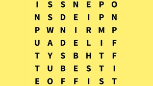 Test de inteligență | Găsiți cuvântul "user" în maximum un minut!