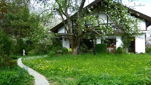 Locul din România unde poți să primești gratuit casă. Ce condiții trebuie să îndeplinești