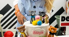 Galerie foto - poza 2