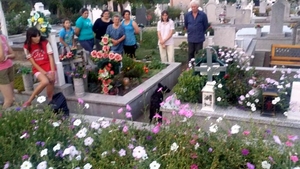 Câine îngropat de viu într-un mormânt dintr-un cimitir din Timiș. Groparii ar fi pus cu bună știință peste el placa de beton a unui cavou. Explicația e halucinantă