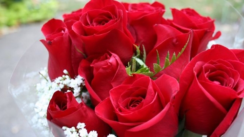 Valentine’s Day te poate costa o avere, daca alegi sa cumperi cel mai scump buchet de trandafiri