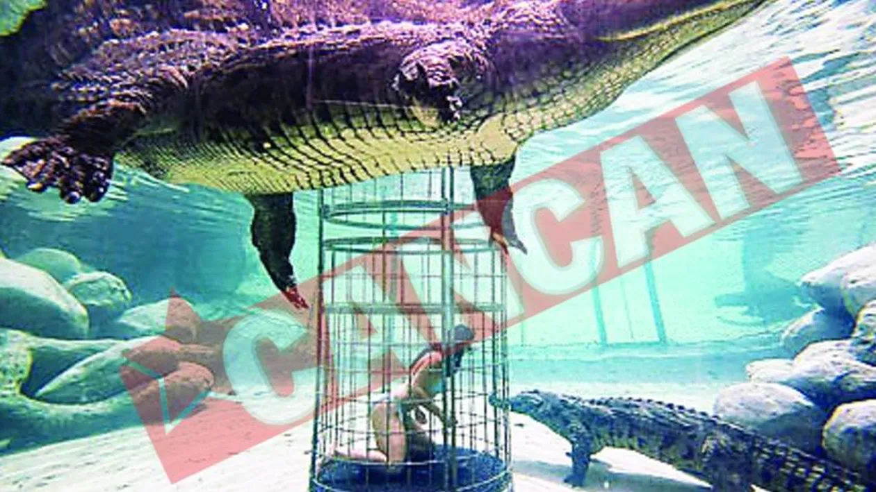 Distractie mortala printre crocodili