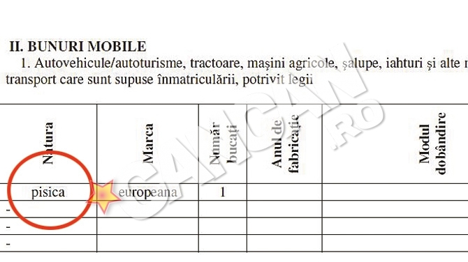 O functionara a Casei de Asigurari de Sanatate din Iasi a inscris animalul de companie la "Bunuri Mobile". Si-a trecut pisica la rubrica "avere"