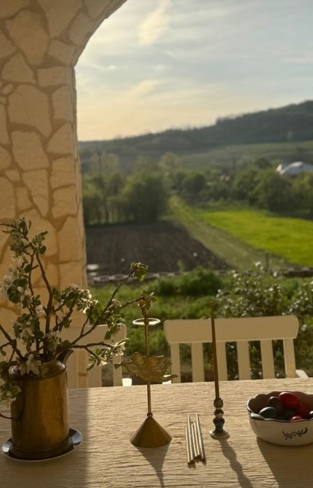 Cum arată casa de la Șușani a Adelei Popescu? Ai zice că e ruptă dintr-un peisaj din Toscana