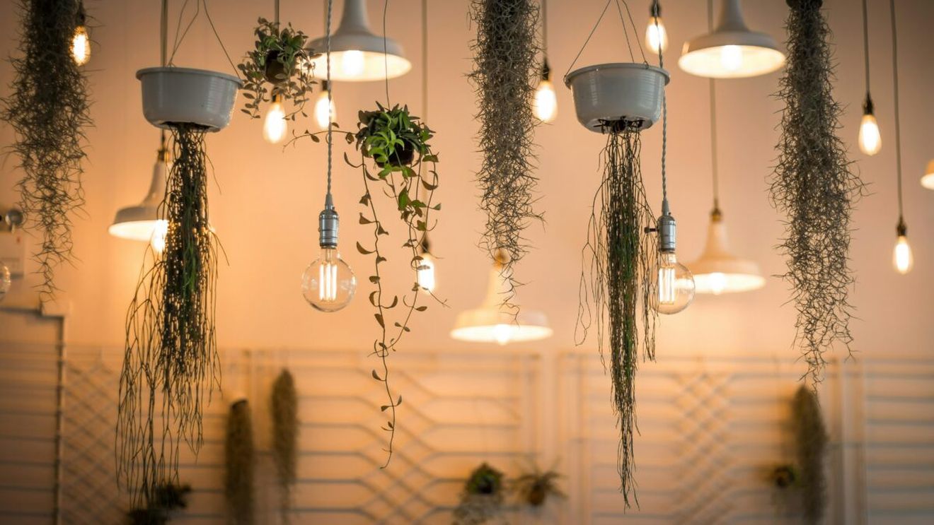 (P) Iluminatul potrivit pentru o casă elegantă și funcțională