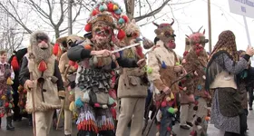 Galerie foto - poza 3