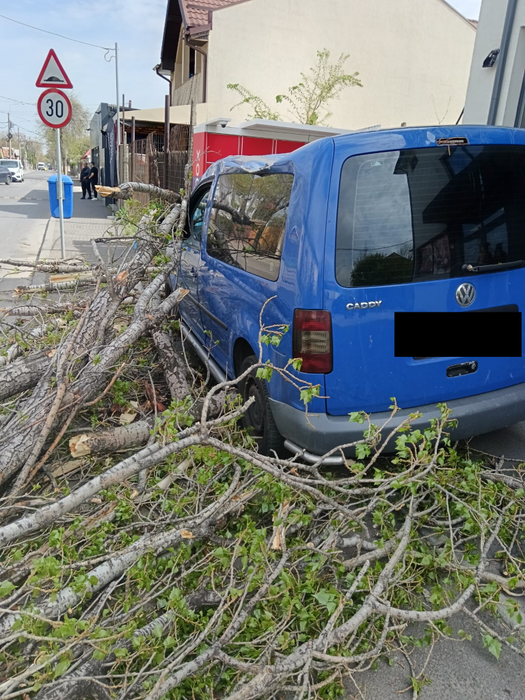 Furtuna a făcut ravagii în Capitală!