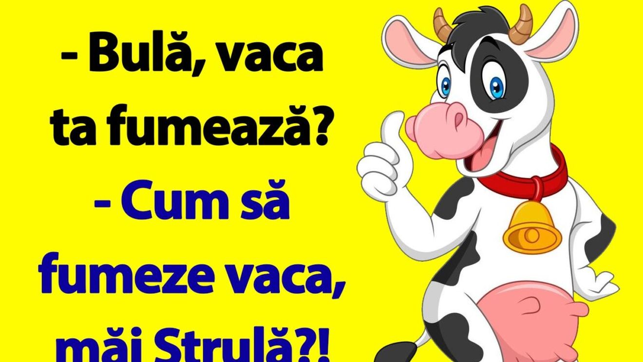 Bancul de sâmbătă dimineața |  "Bulă, vaca ta fumează?"
