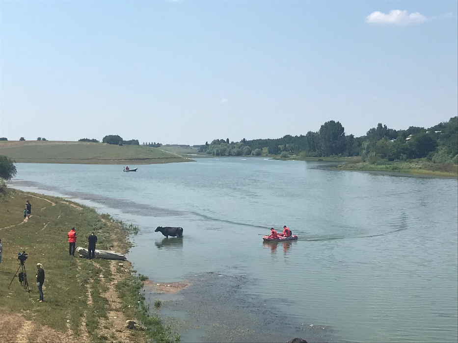 Anchetatorii caută dovezi în balta de la Drăghiceni