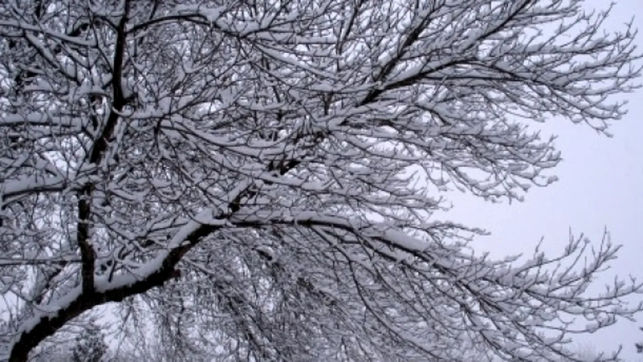 Meteo 22 februarie. Afla cum va fi vremea duminica, dar si cum sa te imbraci