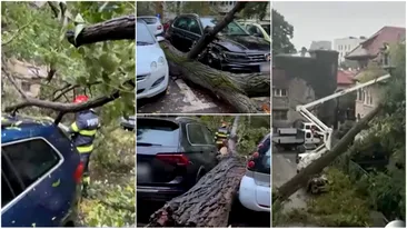 Pagube de sute de mii de euro după furtuna din Capitală: zeci de mașini distruse! Ce trebuie să faci, ca să fii despăgubit