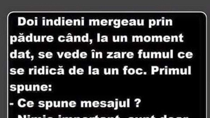 BANCUL ZILEI | Doi indieni mergeau prin pădure