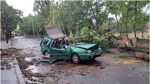 Furtuna a făcut ravagii în București. O persoană a ajuns la spital, după ce un copac a strivit un autoturism