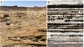 O formă de viață NECUNOSCUTĂ a creat structuri în deșertul Namib...