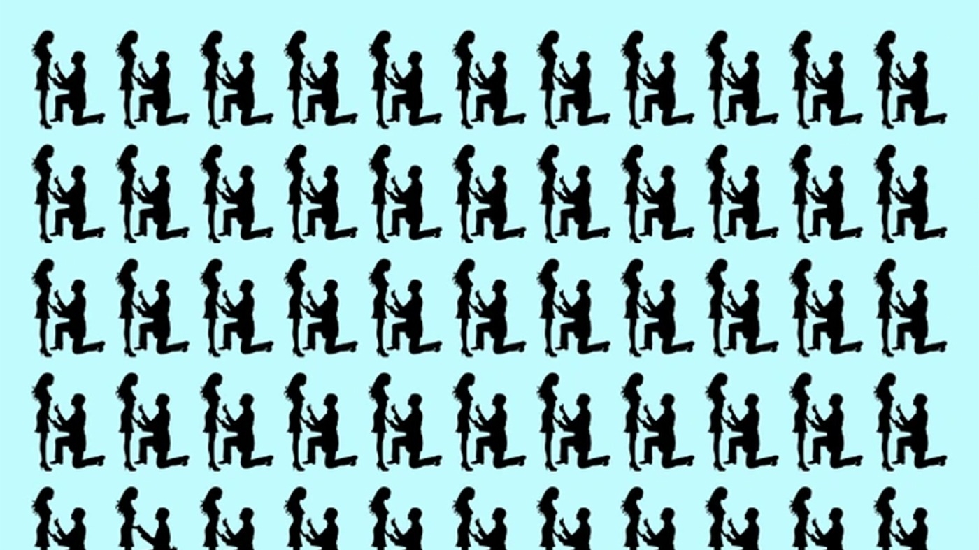 Test de inteligență | Un singur cuplu este diferit de toate celelalte. Îl puteți identifica?
