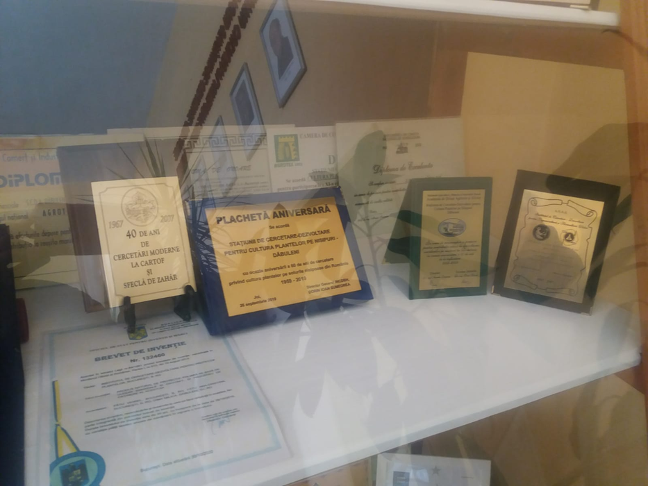 Stațiunea de la Dăbuleni împlinește 60 de ani