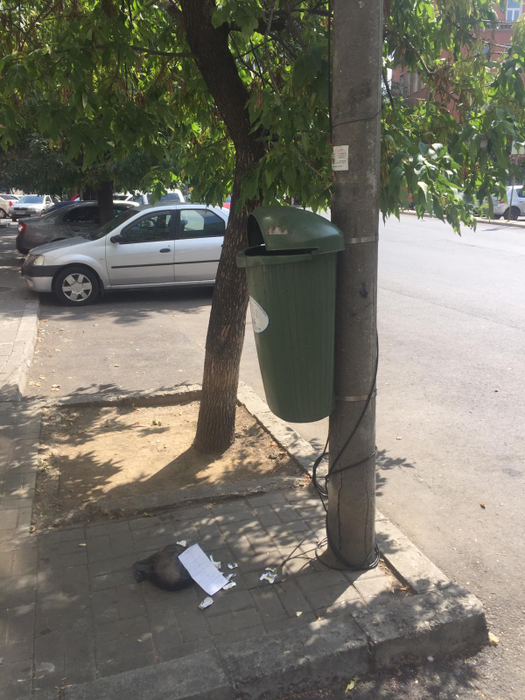Cum s-a răzbunat o femeie pe un bucureștean care și-a aruncat gunoiul în mijlocul străzii. Acum îl va ști o țară întreagă