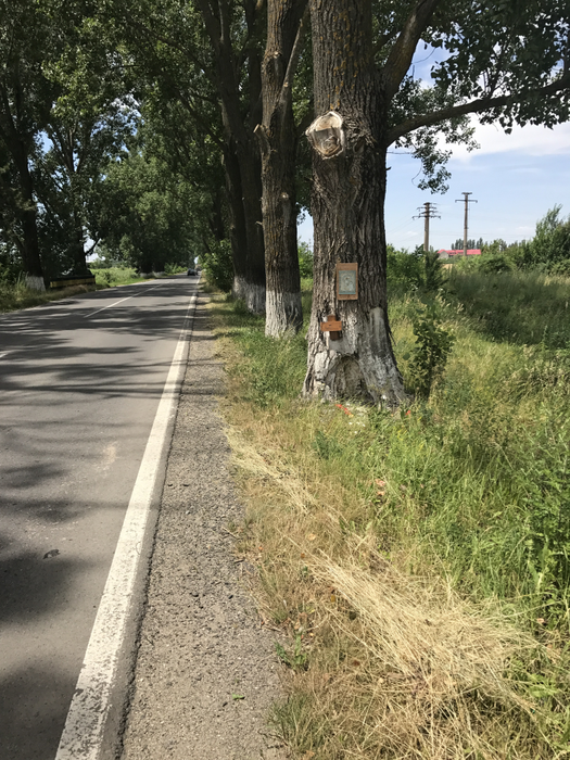 Pe copacul în care s-a izbit Dan Condrea cu maşina a fost prinsă o icoană, însă cuiul a fost bătut fix în obiectul religios