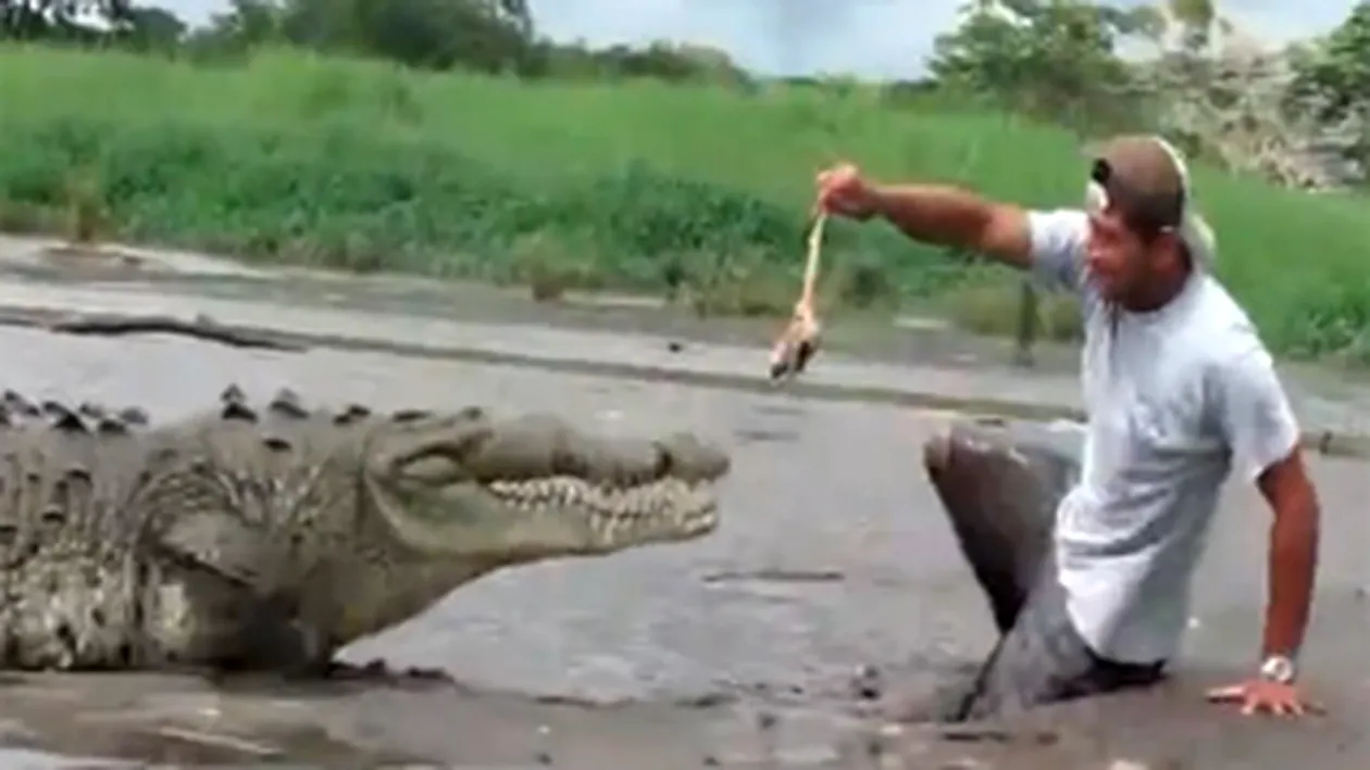 VIDEO Moartea l-a cautat pe la picioare! Aproape sa devina mancare pentru crocodil