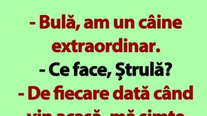 BANC | Bulă și câinele extraordinar