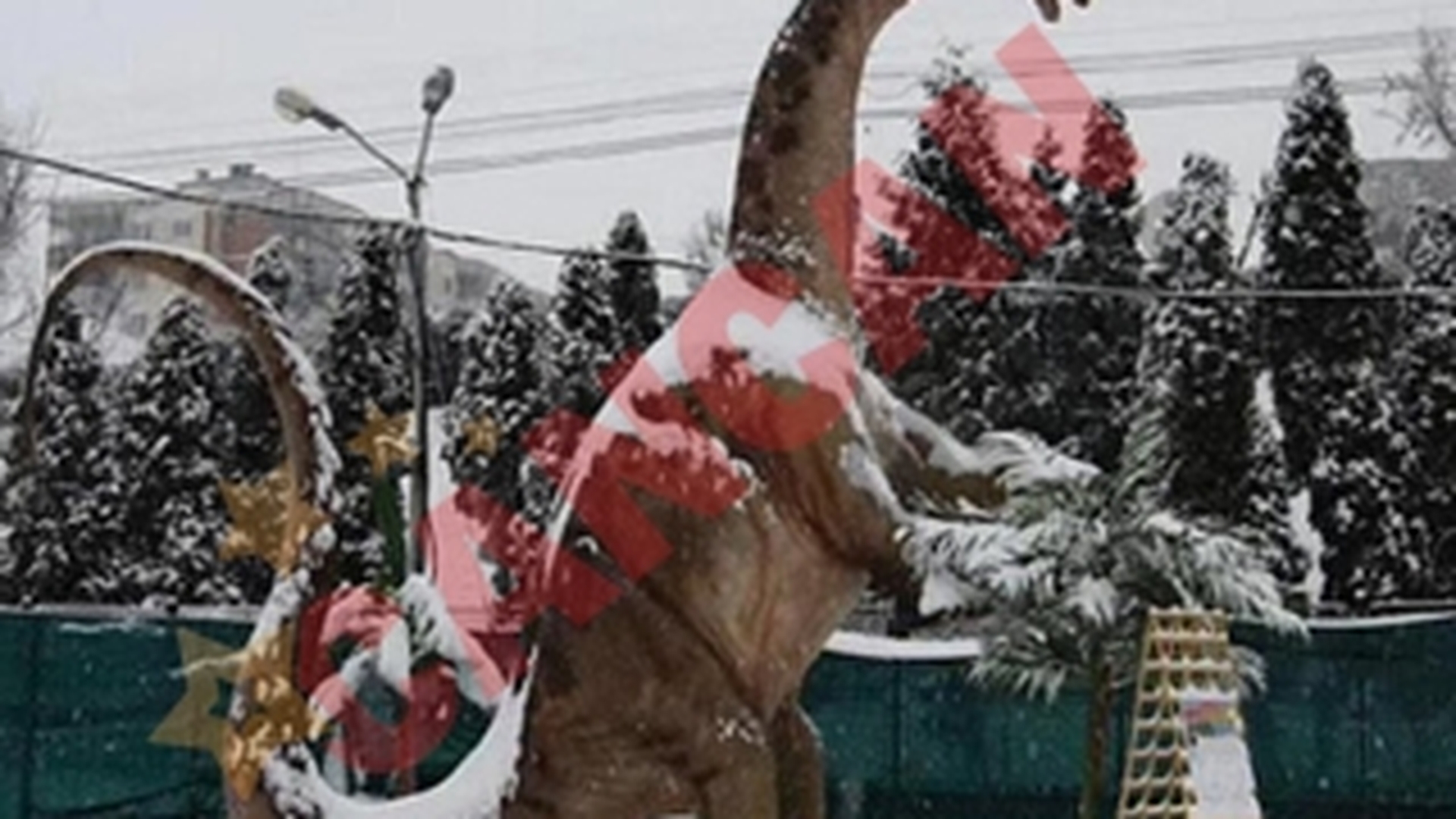 Dinozaurii au invadat Clujul