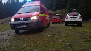 Tovarăși de stână, dușmani după un pahar de tărie. Un cioban a ajuns la spital snopit în bătaie de un alt angajat la stână VIDEO