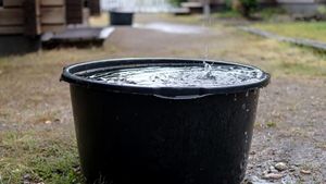Cât costă taxa pe apa de ploaie? Toată lumea trebuie să o plătească