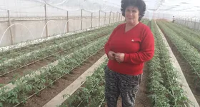 Galerie foto - poza 2