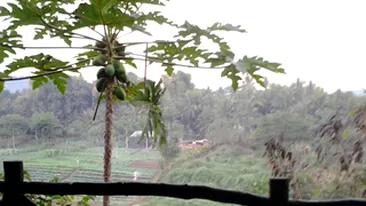 Delia Matache are parte de clipe de vis in vacanta! Vezi in ce casa s-a cazat si la ce meci de fotbal a asistat!