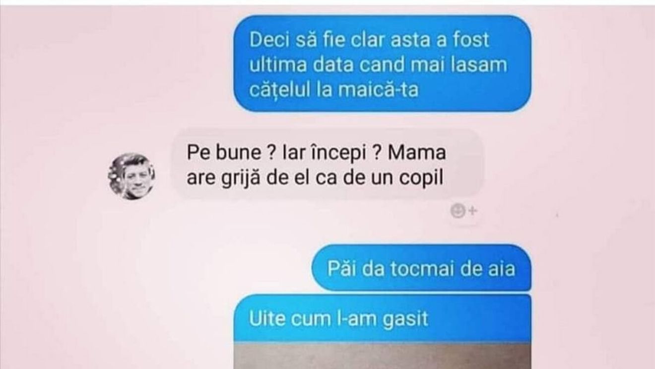 Bancul sfârșitului de săptămână | "Asta a fost ultima dată când mai lăsăm cățelul la maică-ta"