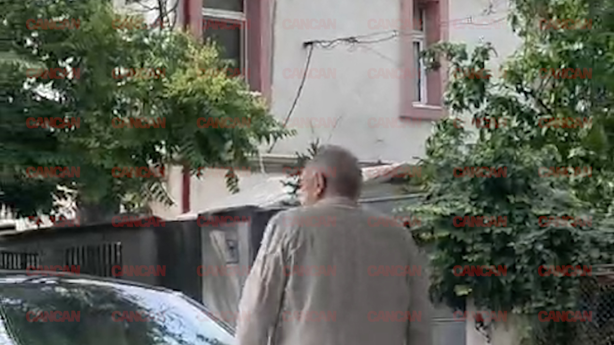 Gabriel Liiceanu pleacă pe jos