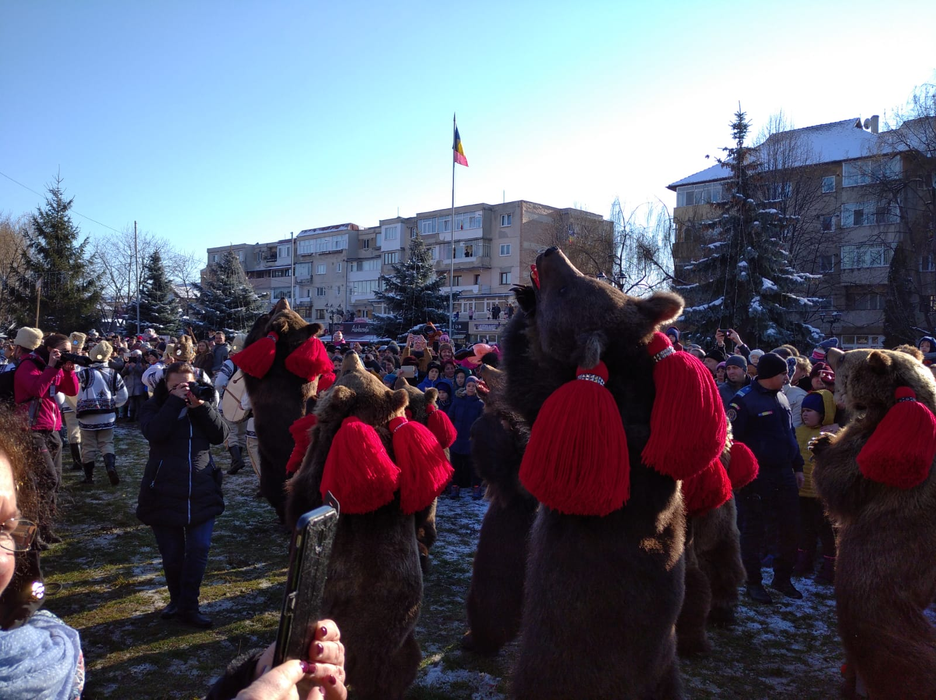 Ionuț Iftimoaie, în mijlocul ”urșilor” de la Comănești! GALERIE FOTO + VIDEO