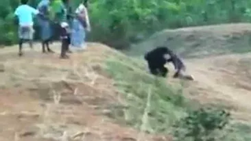 Taximetrist ucis de urs în timp ce încerca să-și facă un selfie cu el