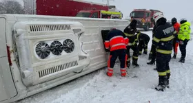 Galerie foto - poza 4