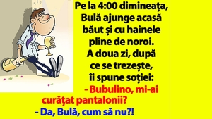 BANC | Pe la 4:00 dimineața, Bulă ajunge acasă băut și cu hainele pline de noroi
