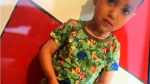 Este alertă în Cluj! Un copil de 2 ani a dispărut fără urmă. Peste 100 de oameni au plecat în căutarea celui mic