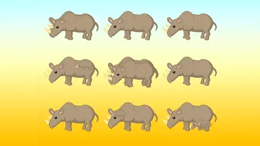 Test IQ | Câți rinoceri sunt, în total, în această imagine? Geniile răspund corect în 7 secunde
